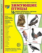 Дем. картинки СУПЕР Зимующие птицы 16 демонстр. картинок с текстом (учебно-методическое пособие с комплектом демонстрационного материала 173х220 мм)