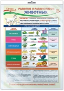 *ПО-13971 ПЛАКАТ А3 Окружающий мир в 3 классе. Развитие и размножение животных (в индивидупльной упаковке)