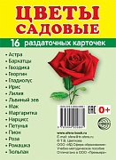 Дем. картинки СУПЕР Цветы садовые. 16 раздаточных карточек с текстом (учебно-методическое пособие с комплектом демонстрационного материала 63х87 мм)