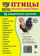 Дем. картинки СУПЕР Птицы домашние и декоративные.16 раздаточных карточек с текстом на обороте (учебно-методическое пособие с комплектом демонстрационного материала 63х87 мм, познавательное и речевое развитие)