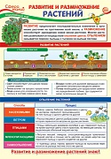 ПО-13972 Плакат А3. Окружающий мир в 3 классе. Развитие и размножение растений