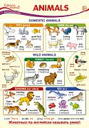ПО-13437 Плакат А3. Английский язык в 1 классе. Animals