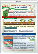 *ПО-13972 ПЛАКАТ А3 В ПАКЕТЕ. Окружающий мир в 3 классе. Развитие и размножение растений (в индивидуальной упаковке, с европодвесом и клеевым клапаном)