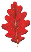 М-15093 Вырубная фигурка. Листочки. Дуб красный. Двухсторонняя (УФ-лак) - тема Деревья