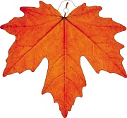 М-16264 Вырубная фигурка. Листочек кленовый оранжевый (двухстороняя, ВД-лак) - тема Деревья