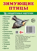 Дем. картинки СУПЕР Зимующие птицы. 16 раздаточных карточек с текстом (учебно-методическое пособие с комплектом демонстрационного материала 63х87 мм)