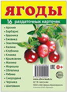 Дем. картинки СУПЕР Ягоды. 16 раздаточных карточек с текстом на обороте (учебно-методическое пособие с комплектом демонстрационного материала 63х87 мм, познавательное и речевое развитие)