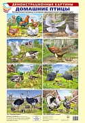 Демонстрационные картины А3. Домашние птицы. Методический материал к основной образовательной программе ДОО (8 картин А3+, этикетка с текстом заданий на обороте)