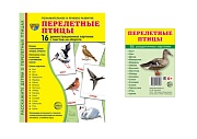 *Комплект. Дем. картинки СУПЕР Перелетные птицы (2 формата: 173х220 и 63х87) 