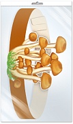 *МА-12073 Маска-ободок. Опята (в индивидуальной упаковке с европодвесом и клеевым клапаном) - группа Грибы