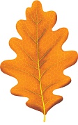 М-15120 Вырубная фигурка. Листочек дубовый осенний желтый. Двухсторонняя (УФ-лак)  - тема Деревья