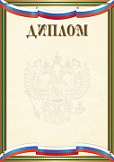 Ш-16299 Диплом с Российской символикой (для принтера, бумага мелованная 150 г