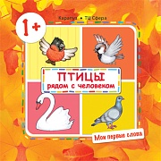 Мои первые слова. Птицы рядом с человеком (для детей от 1-3 лет)