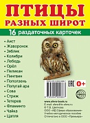 Дем. картинки СУПЕР Птицы разных широт. 16 раздаточных карточек с текстом  (учебно-методическое пособие с комплектом демонстрационного материала 63х87 мм)