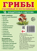 Дем. картинки СУПЕР Грибы. 16 раздаточных карточек с текстом (учебно-методическое пособие с комплектом демонстрационного материала 63х87 мм, познавательное и речевое развитие)