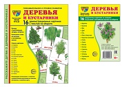 *Комплект. Дем. картинки СУПЕР Деревья и кустарники (2 формата: 173х220 и 63х87) 