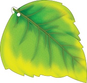 М-15375 Вырубная фигурка. Листочек березы желто-зеленый. Двухсторонняя (УФ-лак) - тема Деревья