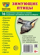 Дем. картинки СУПЕР Зимующие птицы. 16 раздаточных карточек с текстом (учебно-методическое пособие с комплектом демонстрационного материала 63х87 мм)