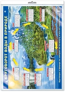 *Демонстрационный плакат А2. Круговорот воды в природе (в индивидуальной упаковке с европодвесом и клеевым клапаном)