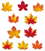 КС-16309 Комплект украшений на скотче. Осенние листья (10 шт. в комплекте) - тема Деревья