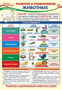 ПО-13971 Плакат А3.Окружающий мир в 3 классе. Развитие и размножение животных