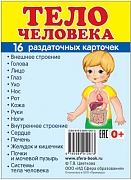 Дем. картинки СУПЕР Тело человека. 16 раздаточных карточек с текстом ( учебно-методическое пособие с комплектом демонстрационного материала 63х87 мм)