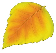 М-14292  (15370) Вырубная фигурка. Листочек березы желтый  (УФ-лак) - Математические ступеньки, 3-4 лет