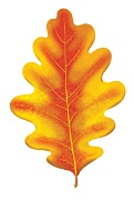 М-15100 Вырубная фигурка. Листочек дубовый осенний желтый. Двухсторонняя (УФ-лак) - тема Деревья