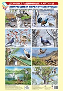 Демонстрационные картины А3. Зимующие и перелетные птицы. Методический материал к основной образовательной программе ДОО (8 картин А3+, этикетка с текстом заданий на обороте)
